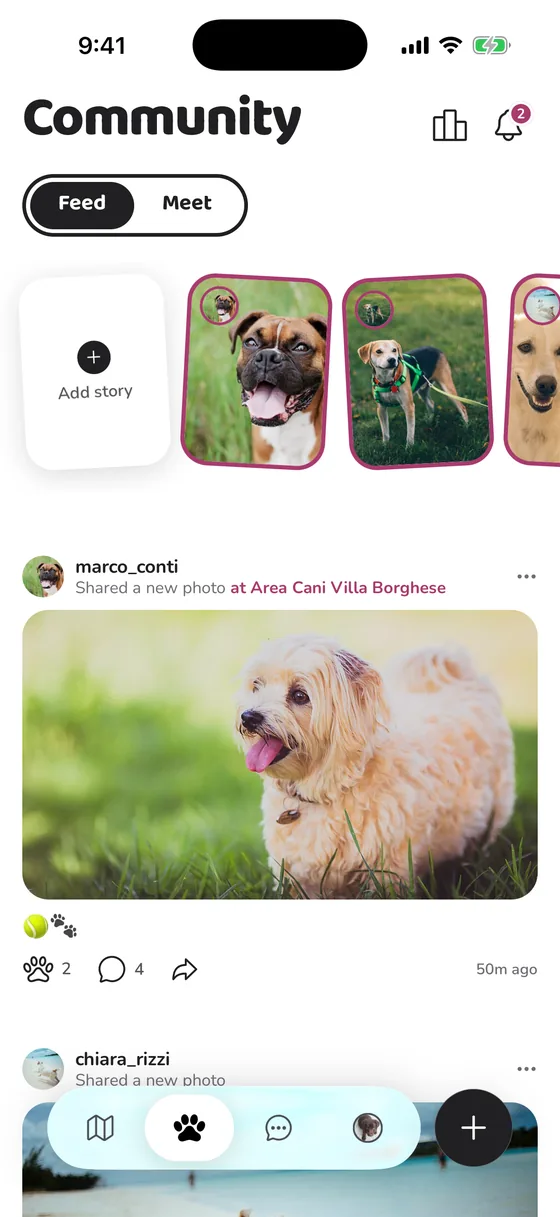 The PawFriend feed: stories from friends and a photo post tagged at Villa Borghese
